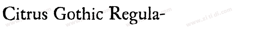 Citrus Gothic Regula字体转换
